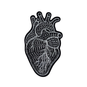 Corazon Anatomico